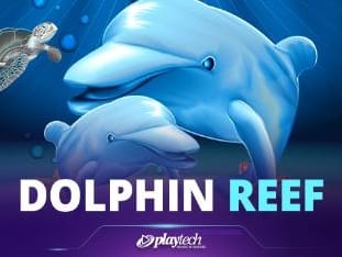 Dolphin Reef game