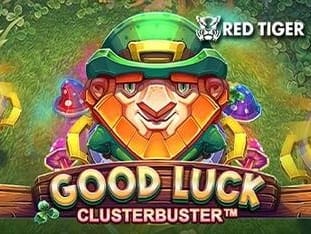 Good Luck Clusterbuster game cover